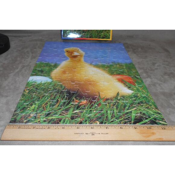 Going Quackers Duck Kodacolor Puzzle Complete 100 PC #20100 Rose Art 1998 - Picture 3 of 7